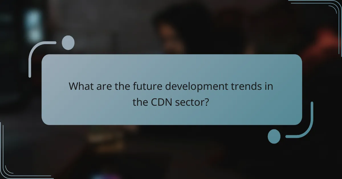 What are the future development trends in the CDN sector?